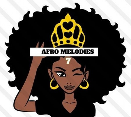 HOOKSHOW Afro Melodies 7 WAV